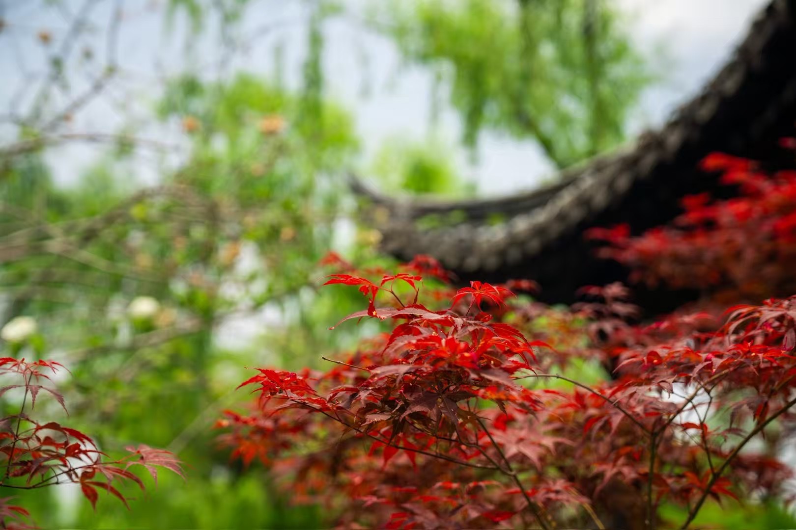 Yangzhou Slender West Lake